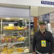 Семена Американской Селекции Купить