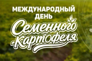 Международный день семенного картофеля