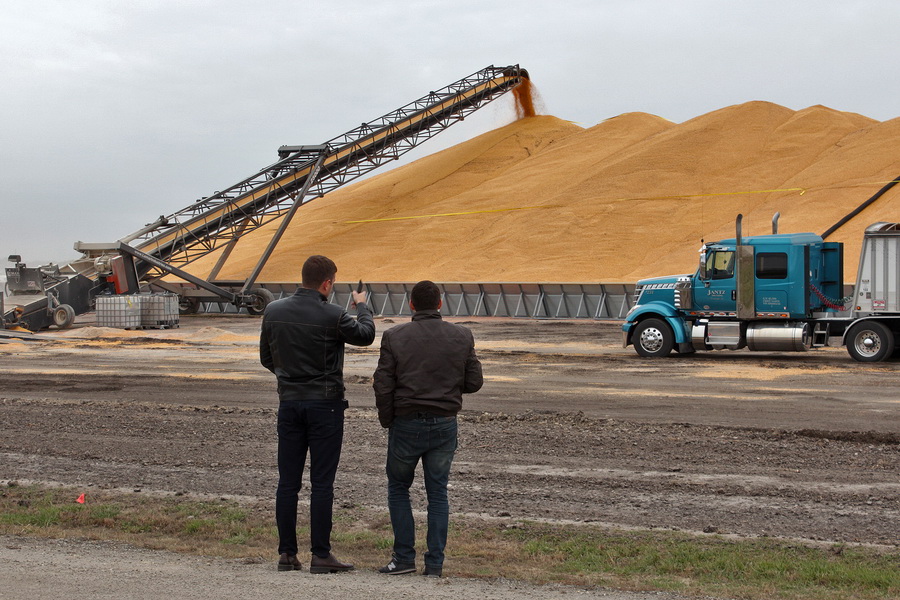 ЗСК оценил теневой рынок зерна в $250 млрд