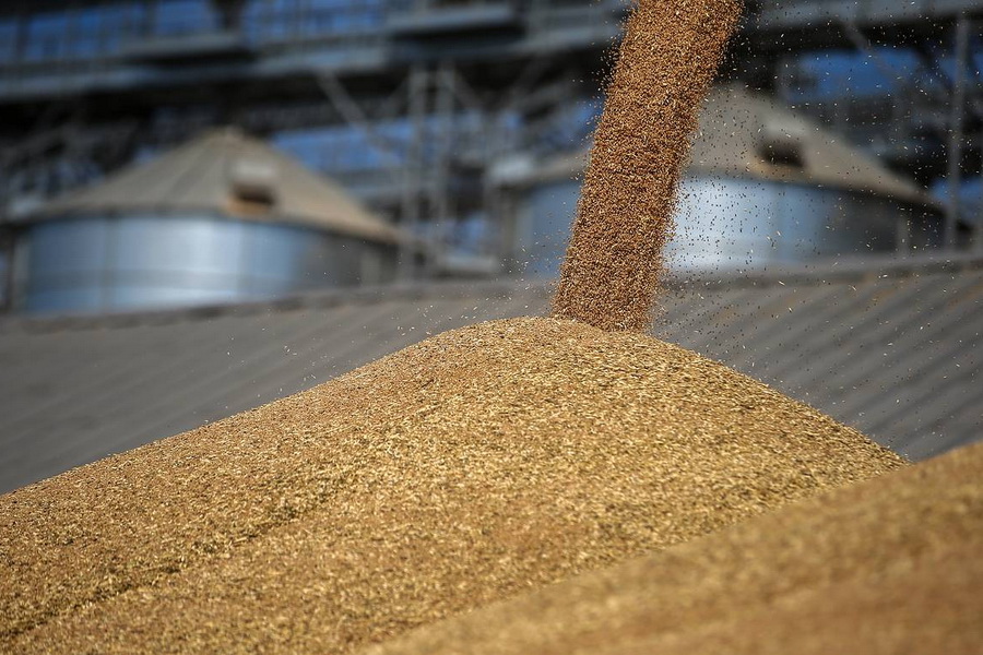 Экспорт пшеницы из РФ обложат пошлиной в 50 евро