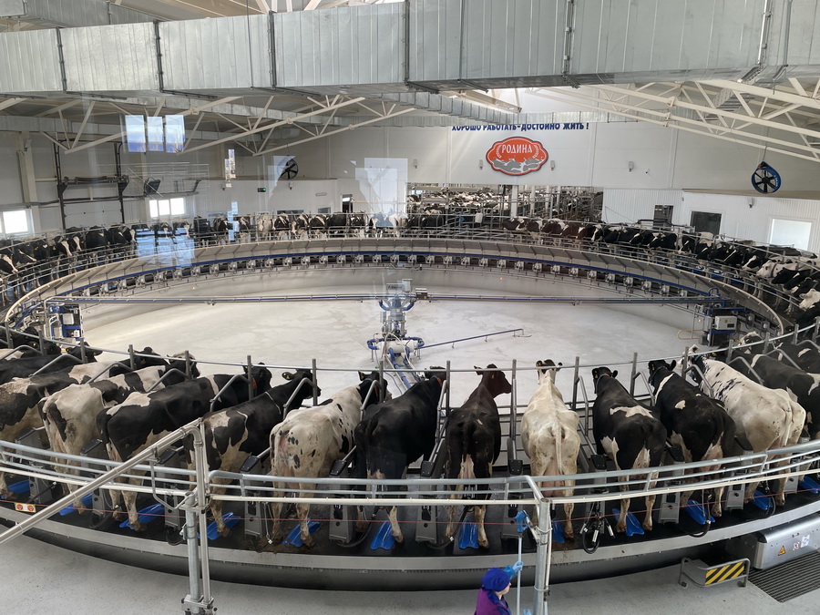 Карусель E300 от DeLaval 