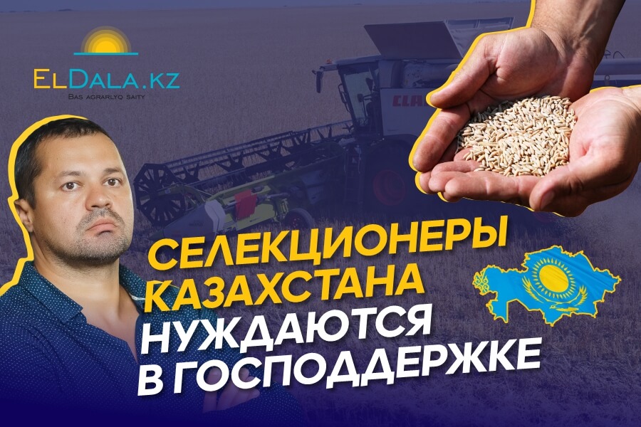 Зачем субсидировать импортные семена, если они эффективнее казахстанской селекции?