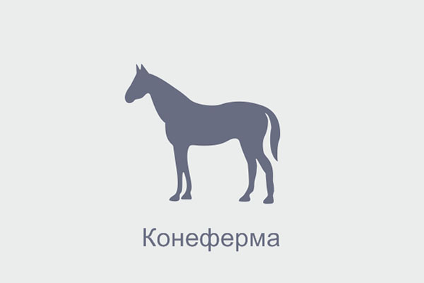 Откормочная площадка Темте