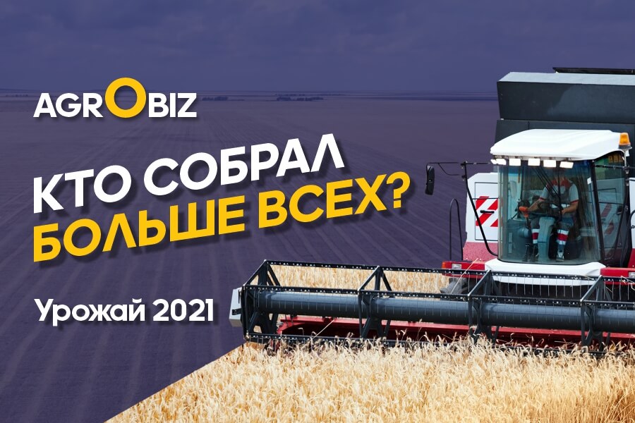 Урожай зерновых в Казахстане 2021: рецепт борьбы с засухой