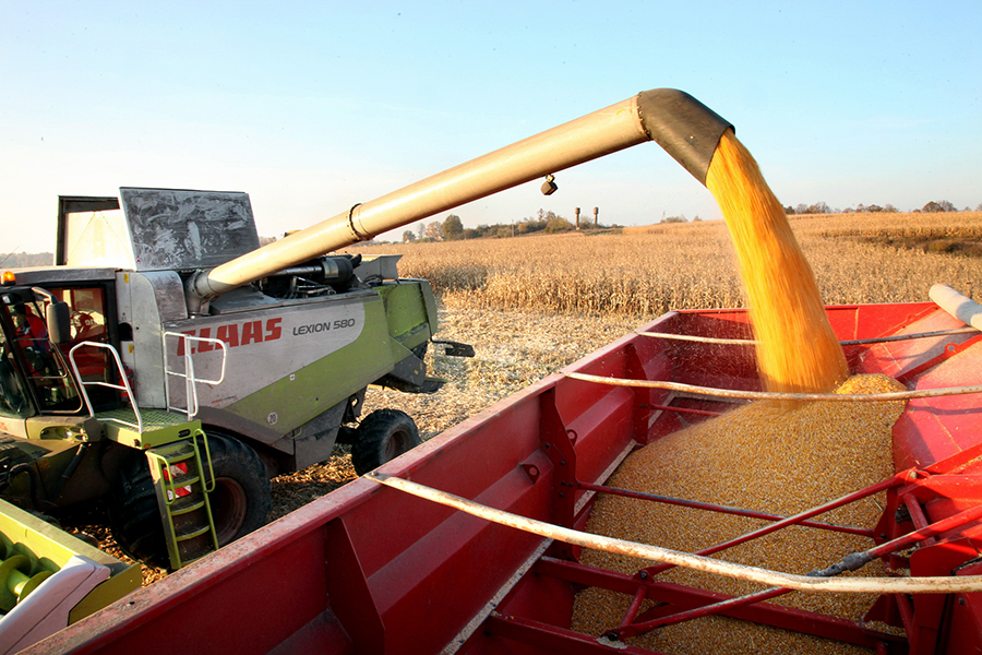 В Казахстане с половины площадей зерновых намолочено 9, 3 млн тонн зерна