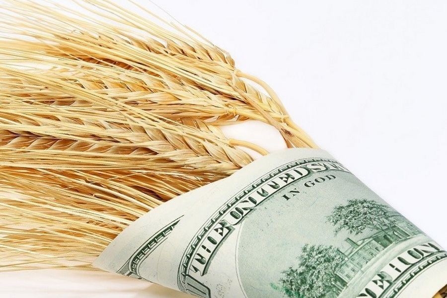 Нацвалюта Казахстан упала к доллару на 3,7 тенге за месяц, пшеница дешевеет 