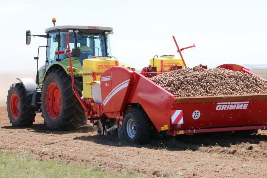 726 млн тенге направлено на поддержку семеноводства в Карагандинской области