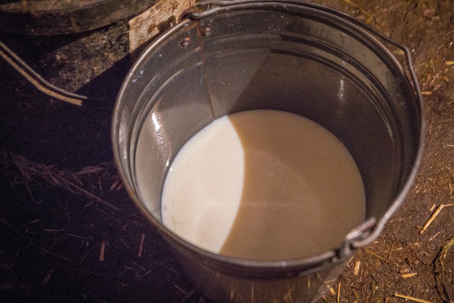 На Востоке РК растет уровень закупки молока в частных хозяйствах