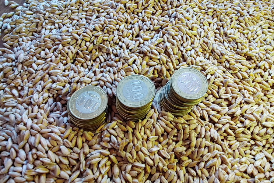 Фермеров принуждают продавать пшеницу по 75 тыс. тенге/тонна