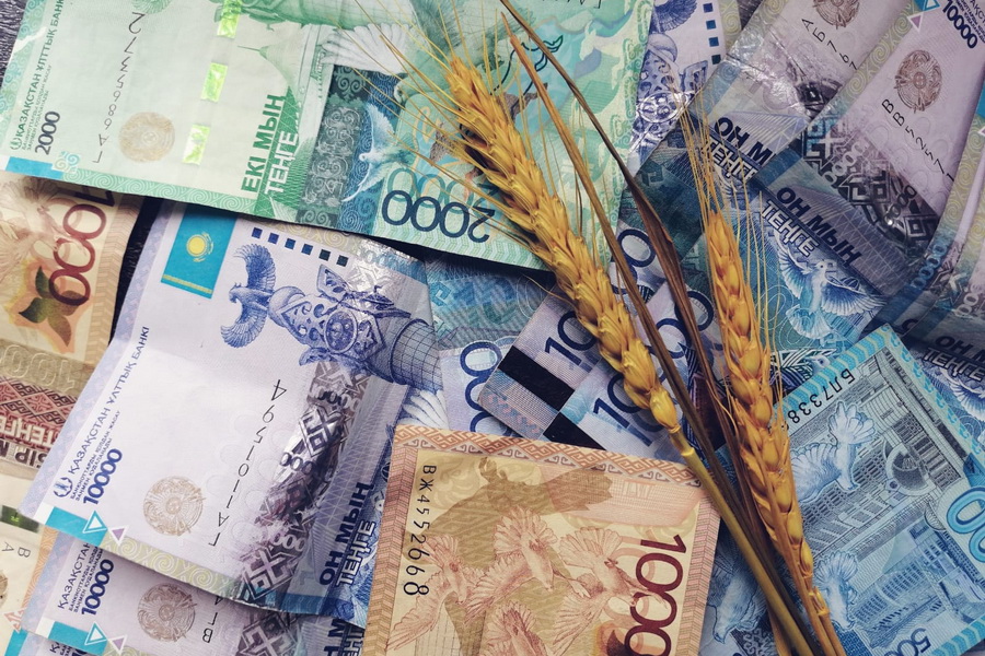 Цену на пшеницу не ниже 125 тыс. тенге просят установить в Казахстане