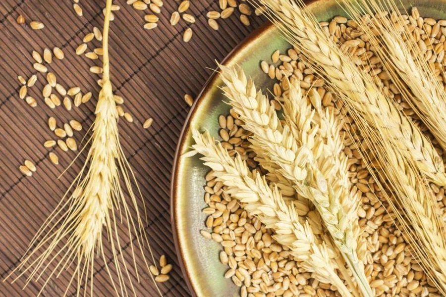 Твёрдая пшеницы подорожала до 250 тыс. тенге/тонна