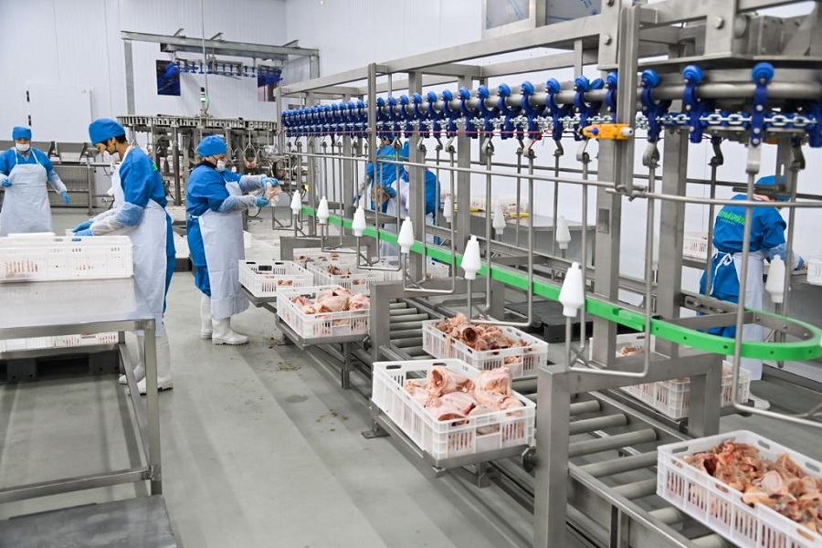 Алель Агро запустит переработку мяса птицы в Жамбылской области