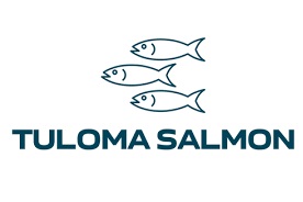 Tuloma Salmon