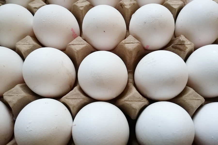 Россия просит увеличить поставки яиц из Казахстана