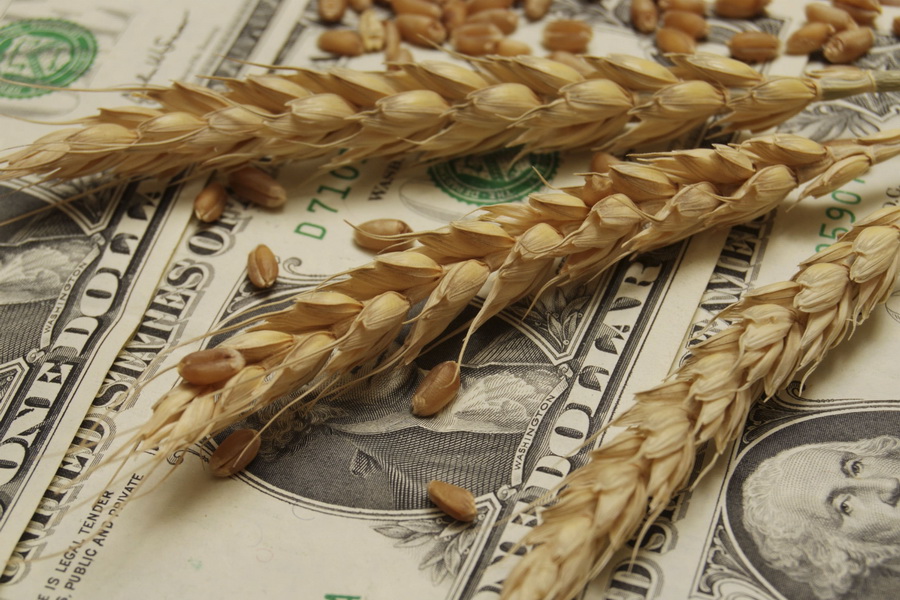 Доллар подорожал на 9 тенге за месяц, Украина наращивает экспорт пшеницы