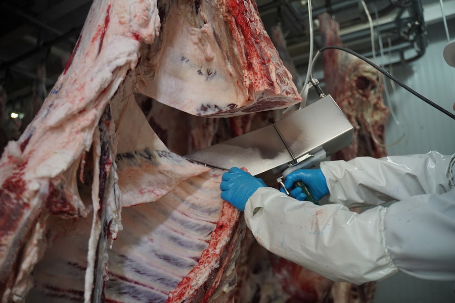 Казахстан планирует возобновить экспорт мяса в Китай