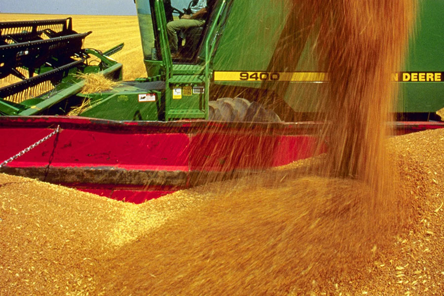 ЗСК: падение цен на пшеницу поставит фермеров на колени