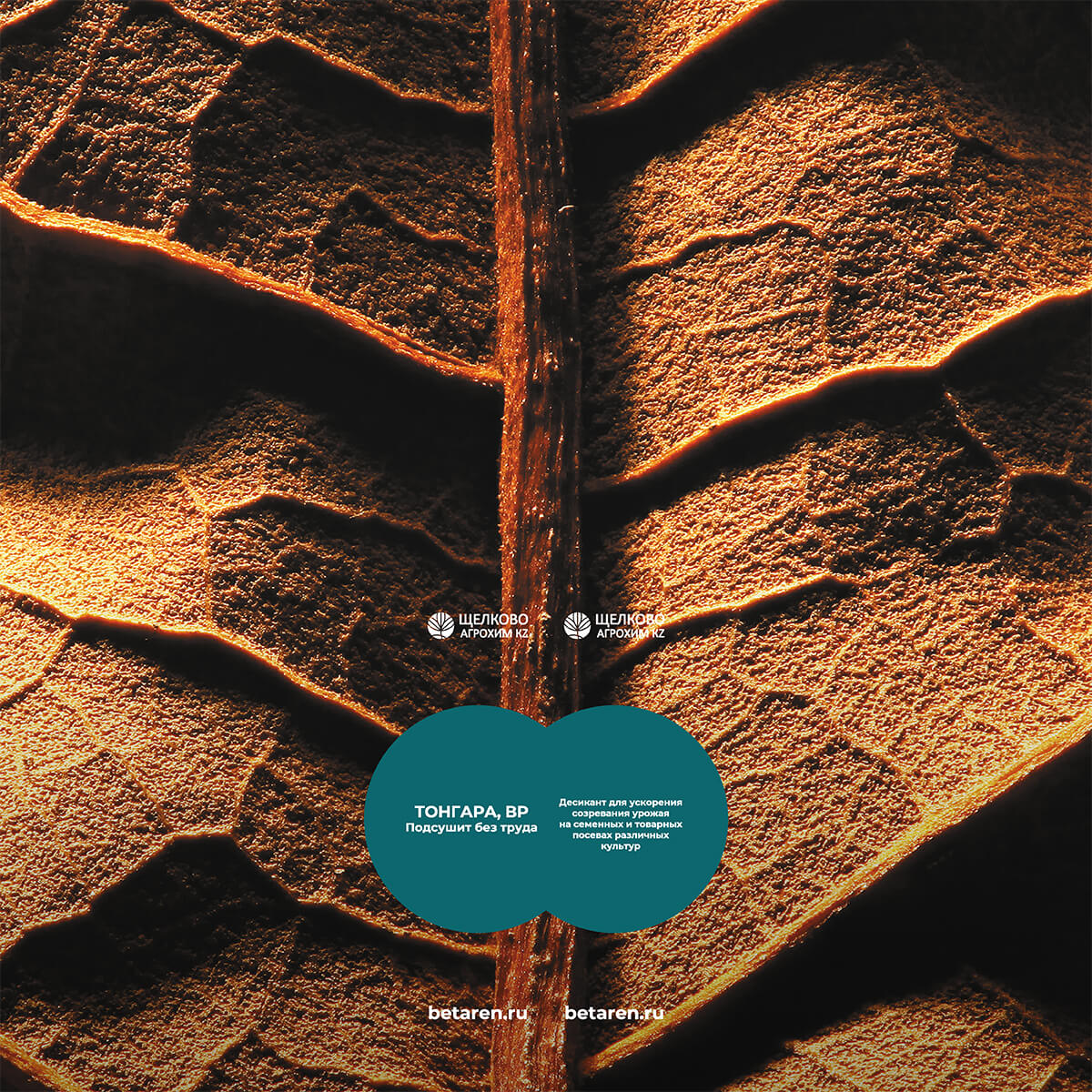 Брендирование Щелково Агрохим#8, Тонгара, ВР 14-31.08, 1.09-