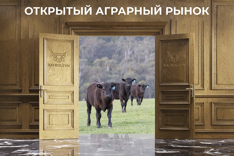 В Казахстане открыт аграрный онлайн рынок BaiBolsyn.kz