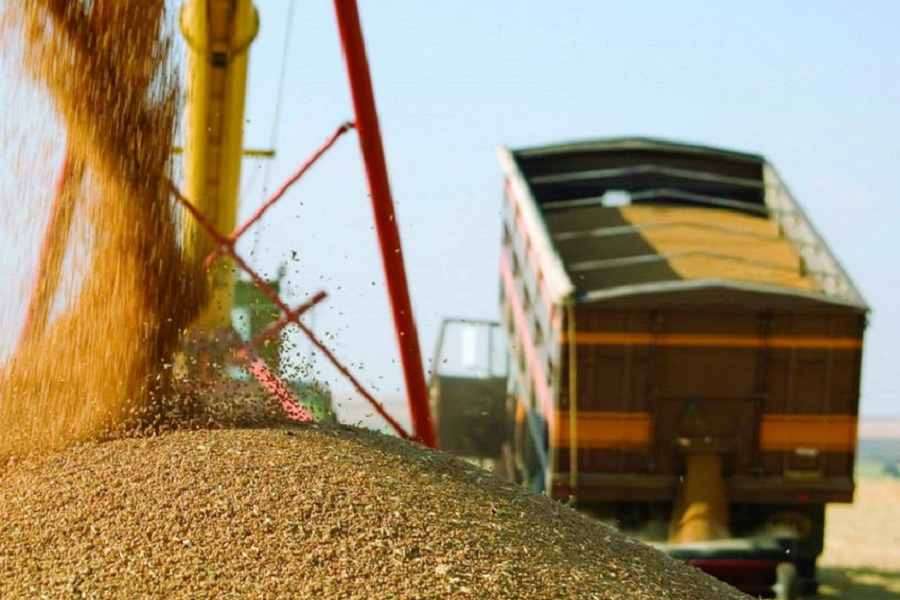 Казахстан нарастил экспорт зерна и муки