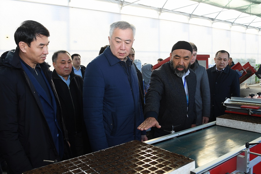 В Казахстане не будут субсидировать теплицы без сертификации