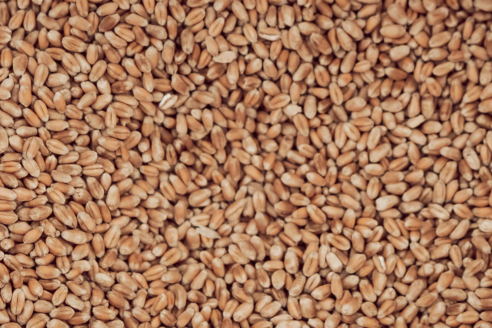 В Казахстане увеличили майские квоты на экспорт пшеницы и муки
