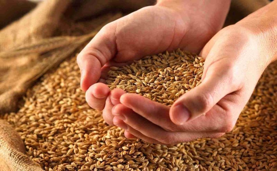 Экспортный потенциал зерна в марте 2020 г. составил 3,1 млн т ― Минсельхоз