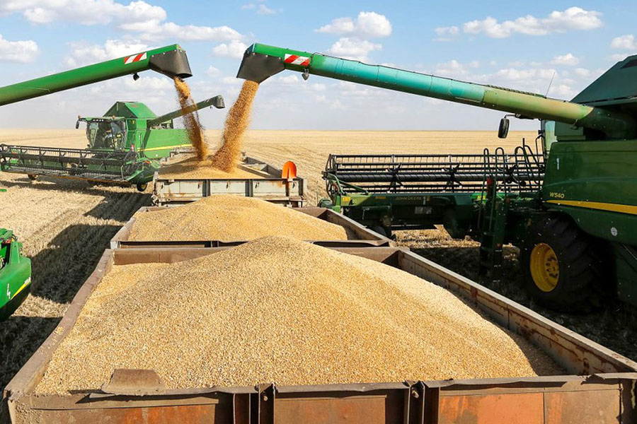 Эксперты оценили урожай пшеницы в Казахстане в 12,4 млн тонн