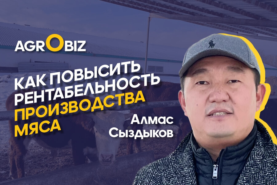 Мясной бизнес в Казахстане: как заработать больше?