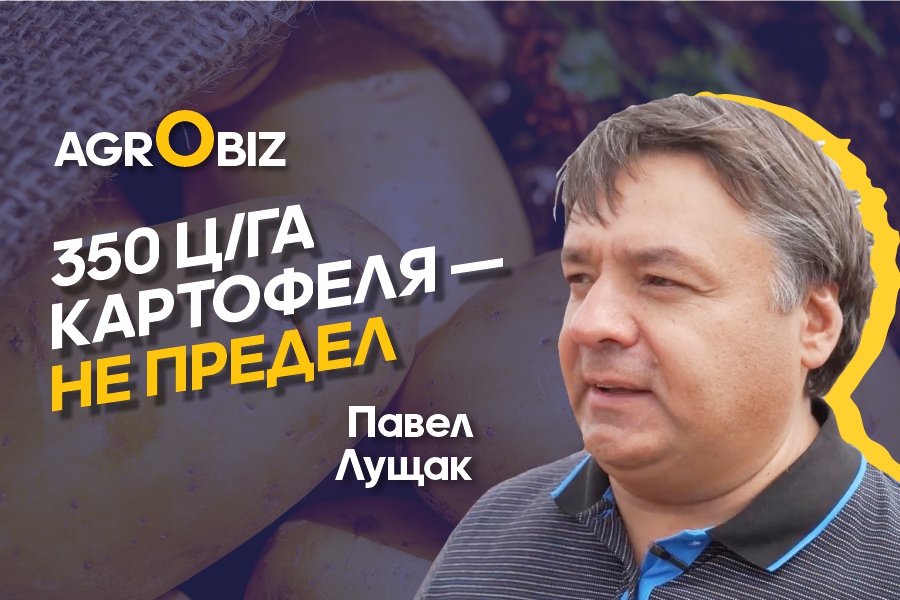 Как получить высокие урожаи картофеля в Казахстане?