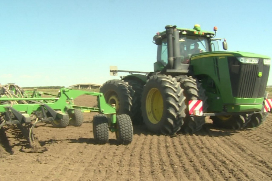 Урожай зерновых в Карагандинской области в 2020 году увеличили на 22%