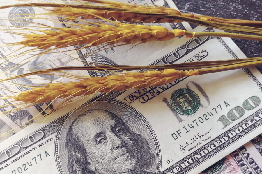 Мировые цены на пшеницу упали на 3,8%