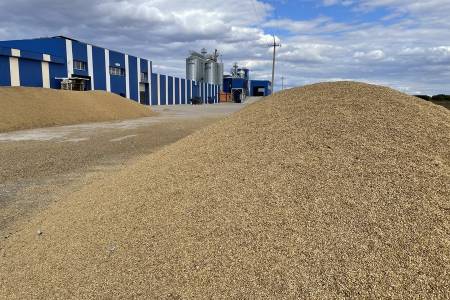 Казахстан снижает потребление собственной пшеницы пять сезонов подряд