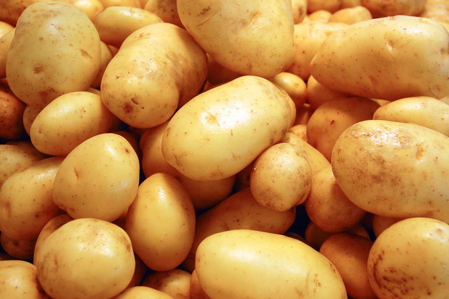 Казахстан сократил экспорт картофеля более чем в 2 раза