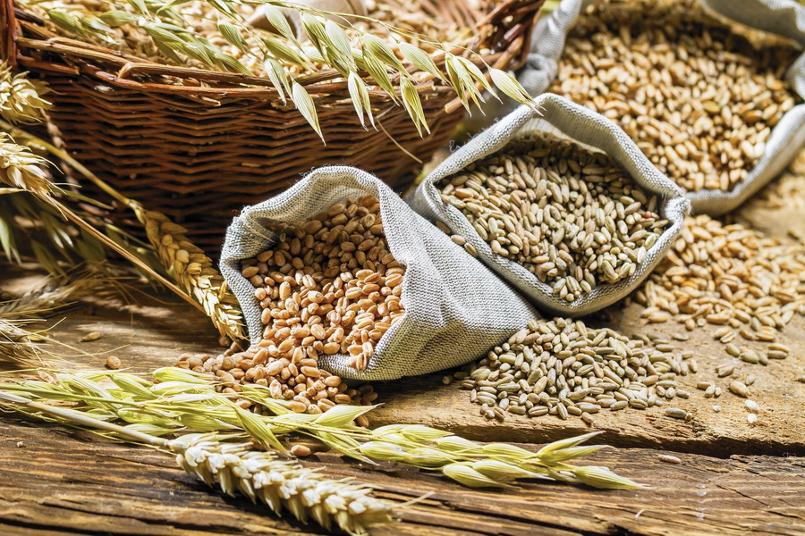 В России утвердили экспортные пошлины на зерно