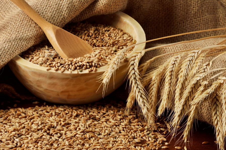 Омаров призвал трейдеров «не перегревать цены» на пшеницу
