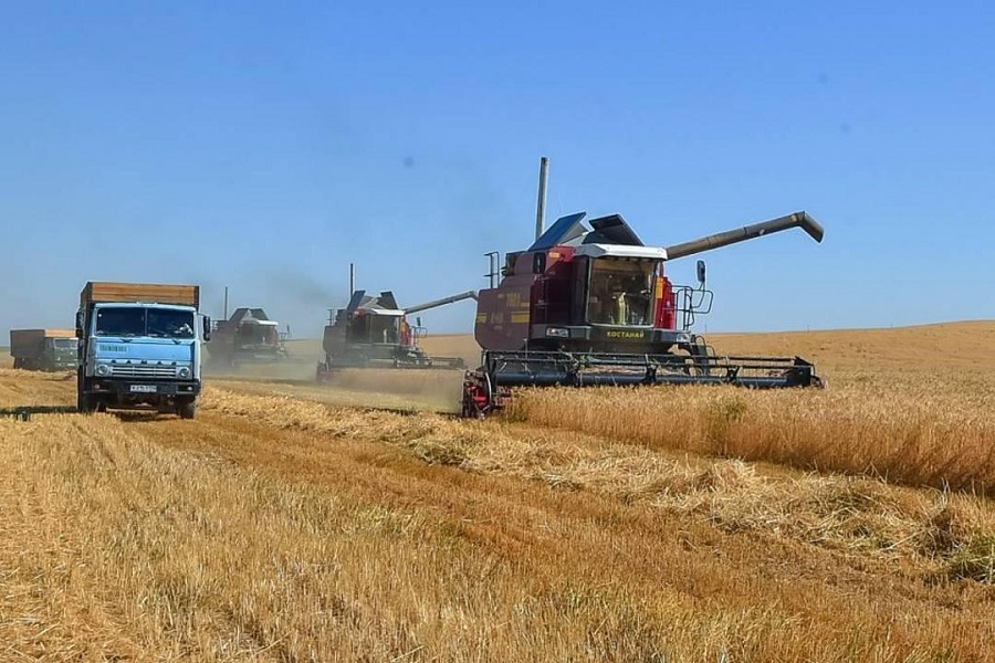 В Казахстане началась уборка озимой пшеницы
