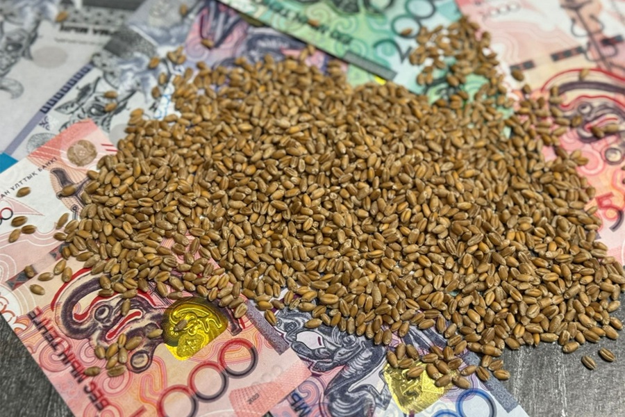 Заявки на финансирование посевной на 150 млрд тенге подали аграрии 