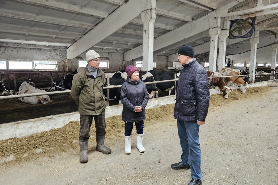 Семинар по профилактике кетоза и ацидоза у коров проведут на ферме «Енбек»