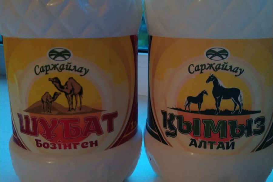 Пить кымыз и шубат рекомендуют казахстанские врачи заболевшим коронавирусом