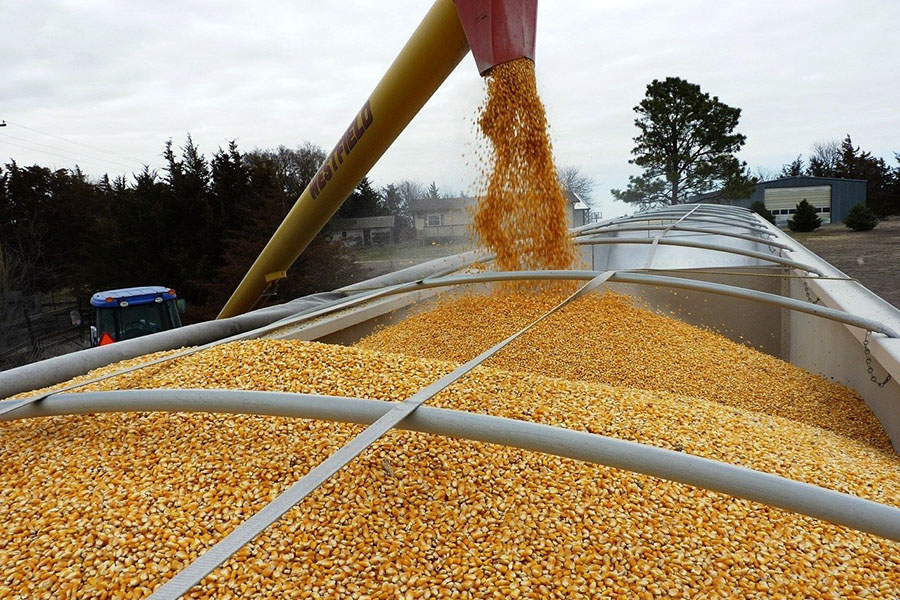 Снижение запасов зерна ожидают в Казахстане