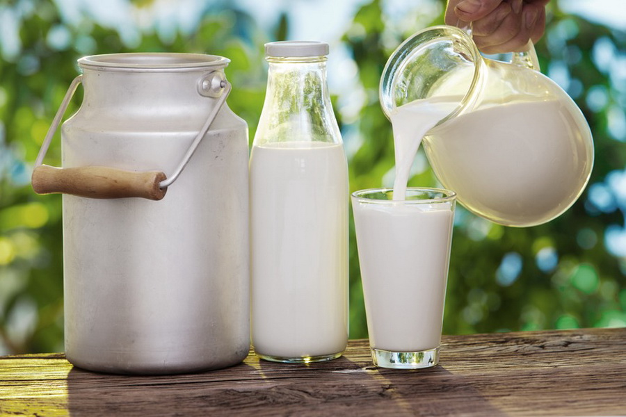 Надои молока ТОО «Им. К. Маркса» за год превысили 14 тыс. тонн 