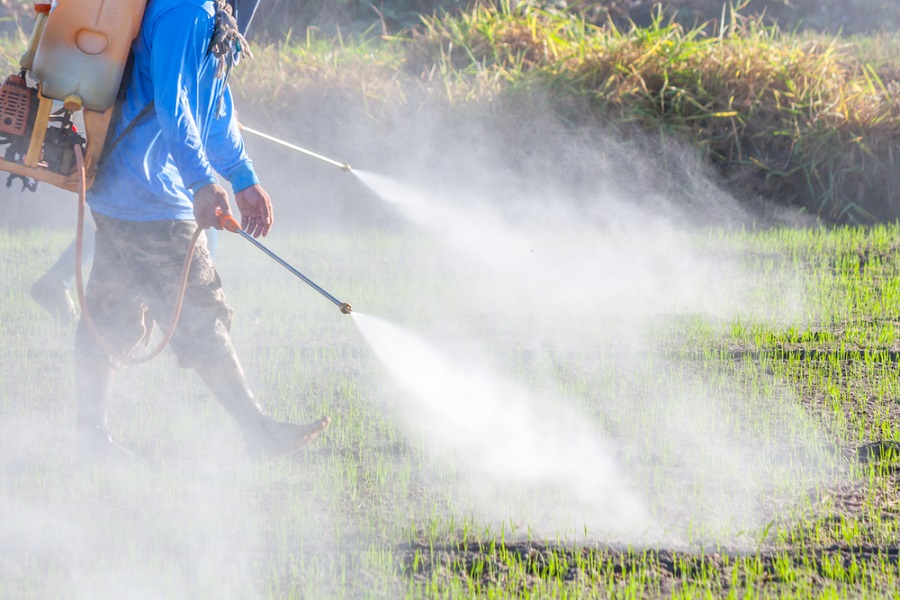 В Актюбинской области открывают заявки на субсидирование стоимости пестицидов