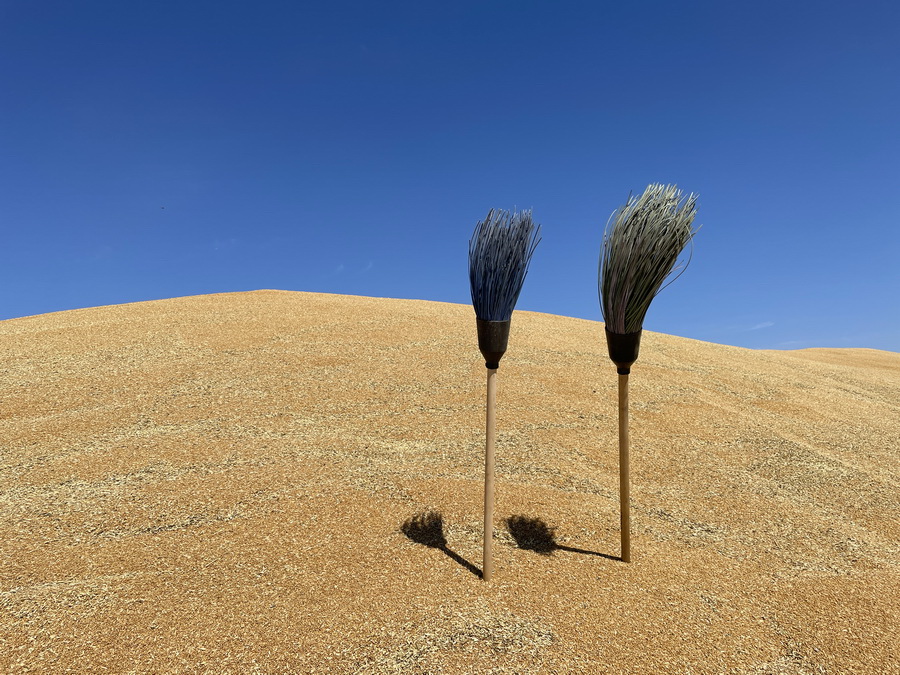 Урожай пшеницы ниже 20 млн тонн получил Казахстан