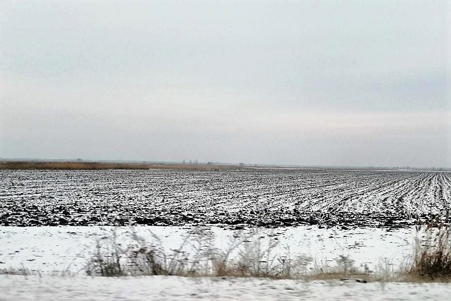 Похолодание и осадки ожидаются в Казахстане