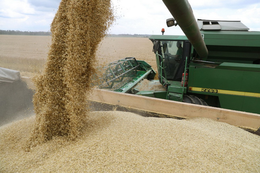 В Казахстане намолочено 16,4 млн тонн зерна