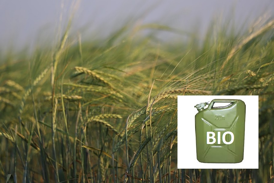 Парламент принял закон об обороте биотоплива