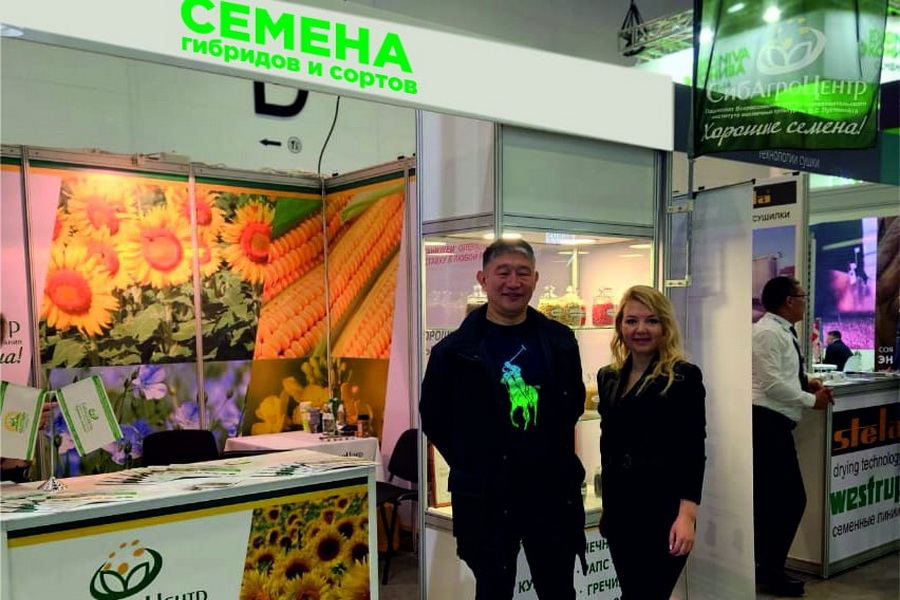 Новые гибриды подсолнечника предложит СибАгроЦентр фермерам Казахстана