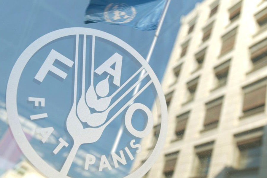 ФАО поможет создать продовольственный хаб в Казахстане