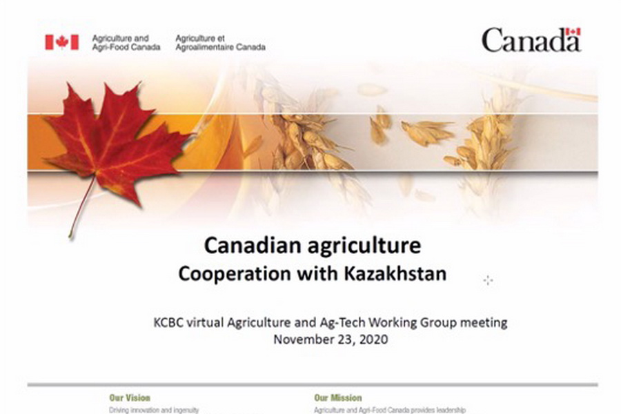 Аграрии Казахстана и Канады обсудили совместные проекты в сельском хозяйстве